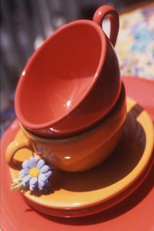 2025年最新！OPP袋を激安価格で手に入れるための最強ガイド