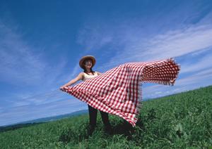 イベントに使える垂れ幕の制作を依頼したいのなら