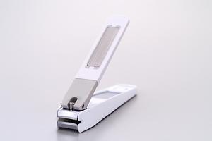 広島市の野球場から近いガーベラについて